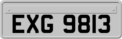 EXG9813