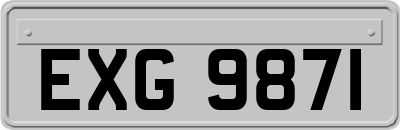 EXG9871