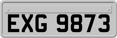 EXG9873