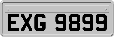 EXG9899