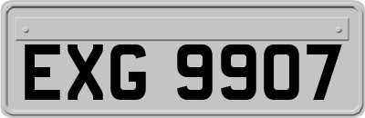 EXG9907