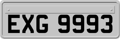EXG9993