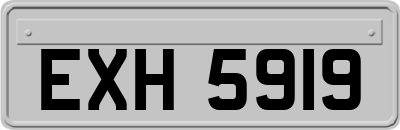 EXH5919