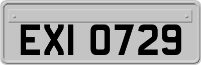 EXI0729
