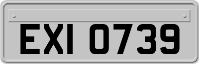 EXI0739