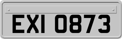 EXI0873