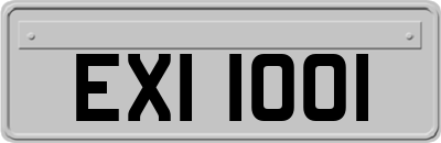 EXI1001