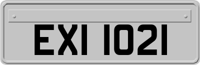 EXI1021