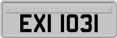 EXI1031