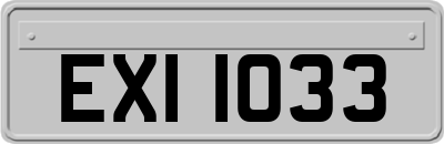 EXI1033