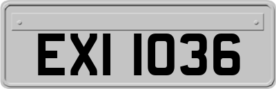 EXI1036