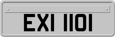 EXI1101