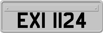 EXI1124
