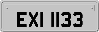EXI1133