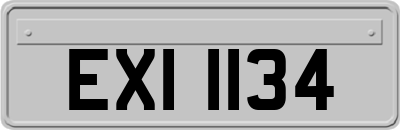 EXI1134