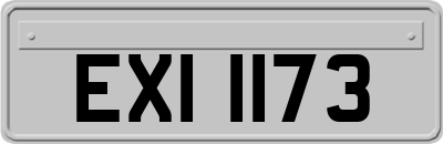 EXI1173