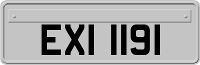 EXI1191