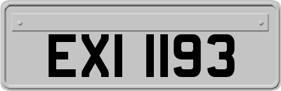 EXI1193