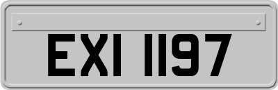 EXI1197