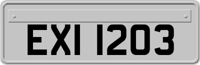 EXI1203