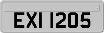 EXI1205