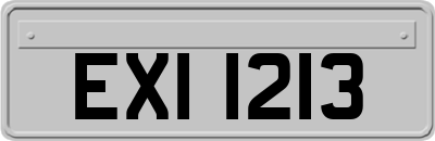 EXI1213