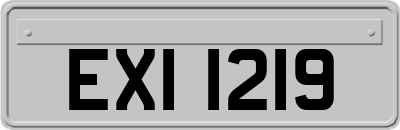 EXI1219