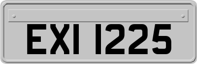 EXI1225