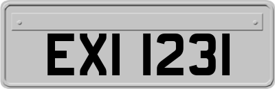 EXI1231