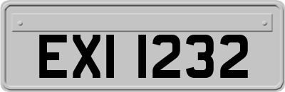 EXI1232