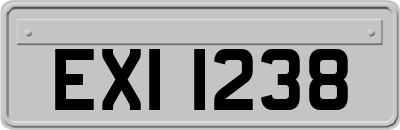 EXI1238