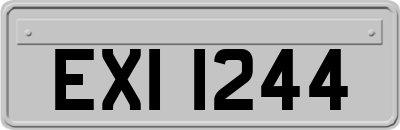 EXI1244