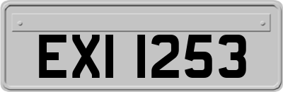 EXI1253