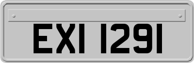 EXI1291