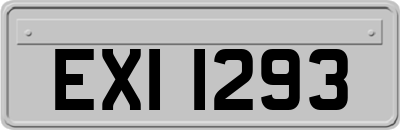EXI1293