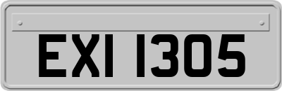 EXI1305