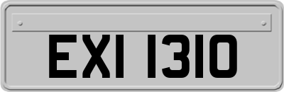 EXI1310