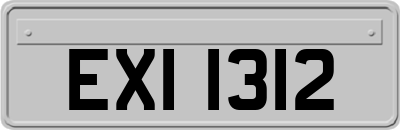 EXI1312