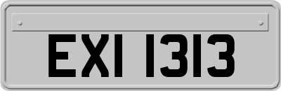 EXI1313