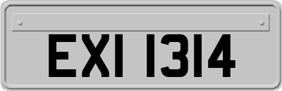 EXI1314