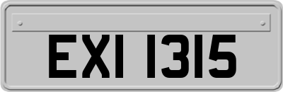 EXI1315