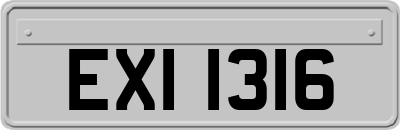 EXI1316
