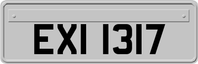 EXI1317