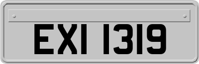 EXI1319