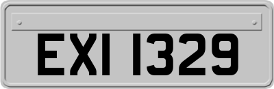 EXI1329