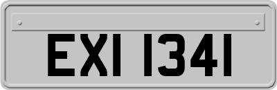 EXI1341