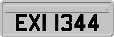 EXI1344