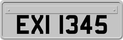 EXI1345