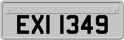 EXI1349