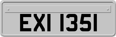 EXI1351